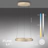 PURE E-LOOP PENDEL MED MOTOR HEJS MAT MESSING LED Ø60