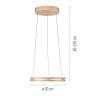 PURE E-LOOP PENDEL MED MOTOR HEJS MAT MESSING LED Ø60