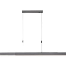 PURE MOTO LANGBORDSPENDEL MED MOTOR UDTRÆK ANTRASIT LED