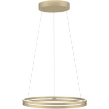 PURE E-LOOP PENDEL MED MOTOR HEJS MAT MESSING LED