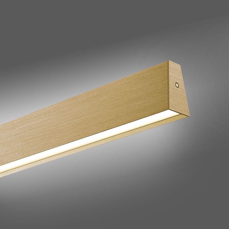 PURE E-MOTION LANGBORDSPENDEL MED MOTOR HEJS MAT MESSING LED