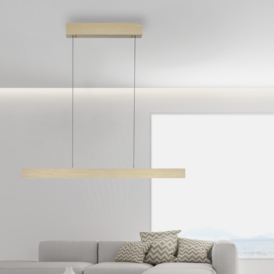 PURE E-MOTION LANGBORDSPENDEL MED MOTOR HEJS MAT MESSING LED