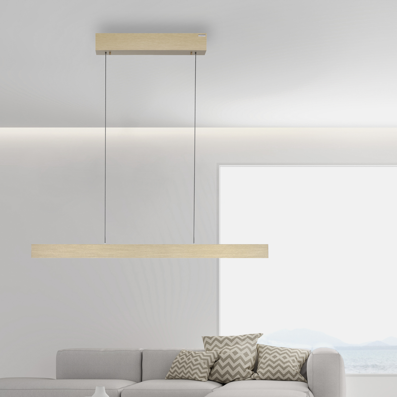 PURE E-MOTION LANGBORDSPENDEL MED MOTOR HEJS MAT MESSING LED