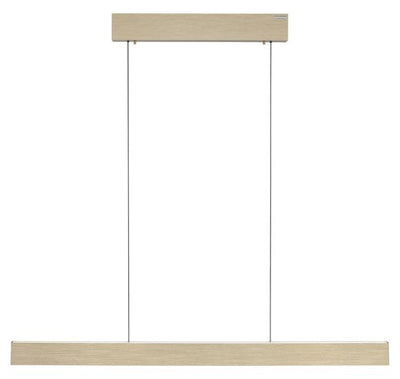 PURE E-MOTION LANGBORDSPENDEL MED MOTOR HEJS MAT MESSING LED