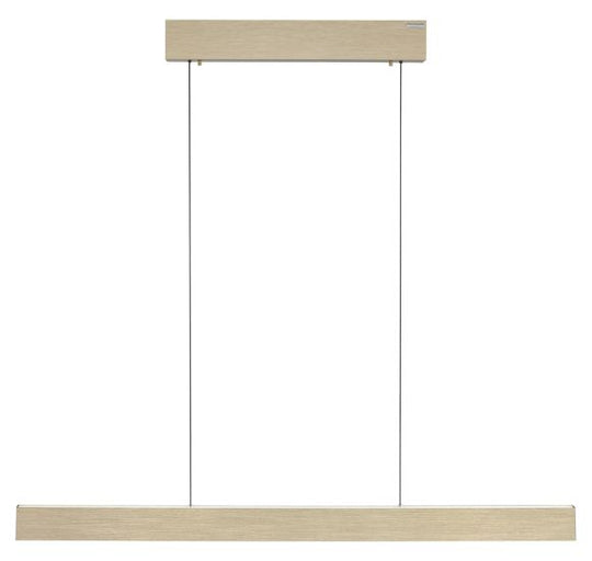 PURE E-MOTION LANGBORDSPENDEL MED MOTOR HEJS MAT MESSING LED