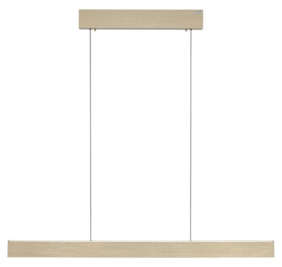 PURE E-MOTION LANGBORDSPENDEL MED MOTOR HEJS MAT MESSING LED