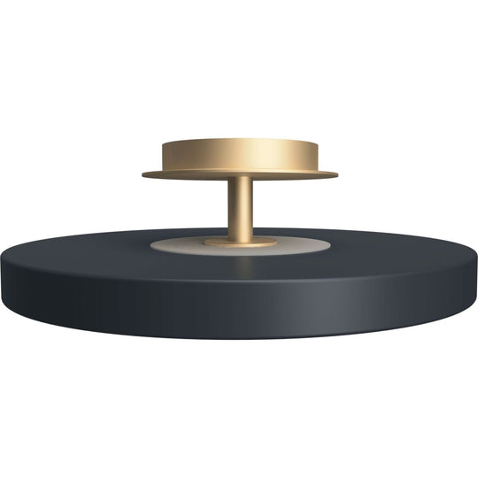 ASTERIA PLAFOND UP PLUS  Ø31 ANTRASIT