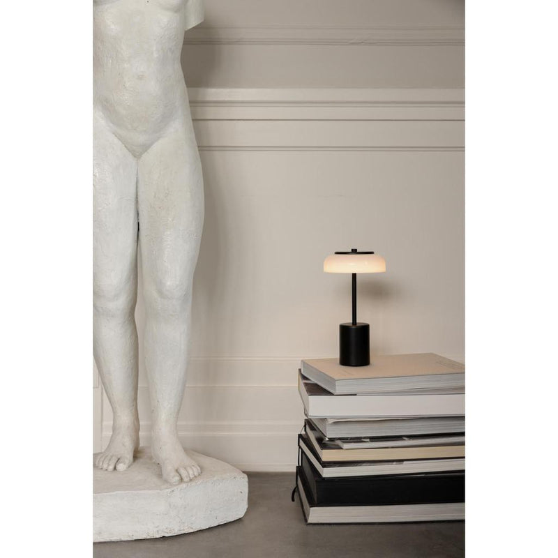 BLOSSI MINI PORTABLE SORT/OPAL LED