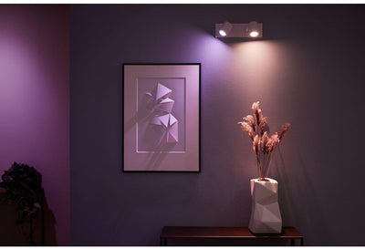 PHILIPS HUE ARGENTA ENKELT 2-SPOT HVID 915005762001