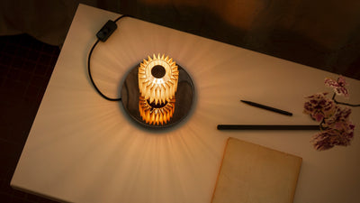 DCWéditions In The Sun 220 Bordlampe – Silver/Gold | Lampeagenten