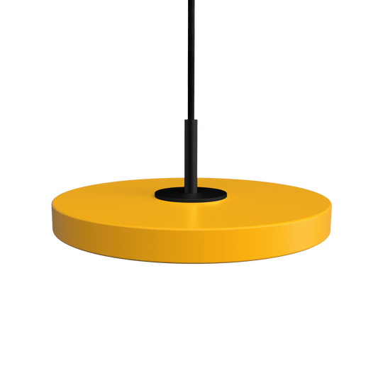 Asteria Micro Saffron Yellow w. Dim - Black Top