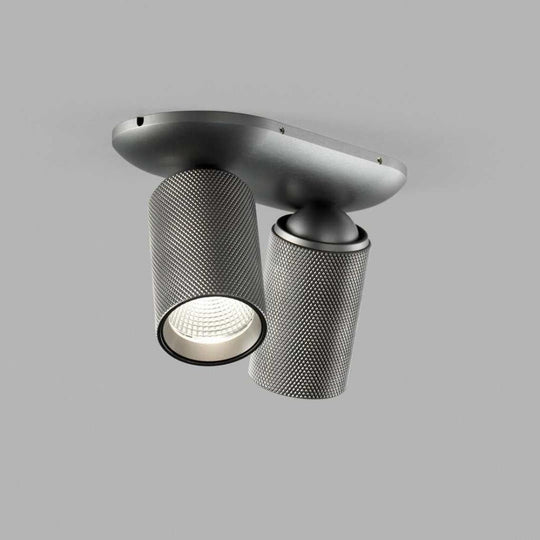 Raw 2 Spots Titanium LED